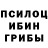 Псилоцибиновые грибы Cubensis Radzion Kukharonak