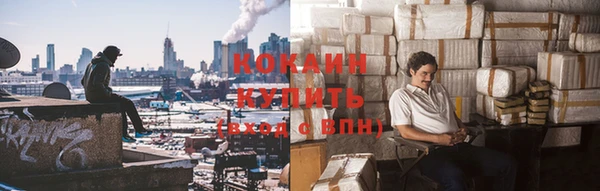 твердый Богданович