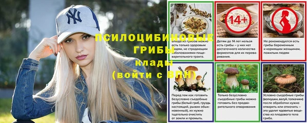 каннабис Белокуриха