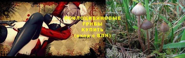 каннабис Белокуриха
