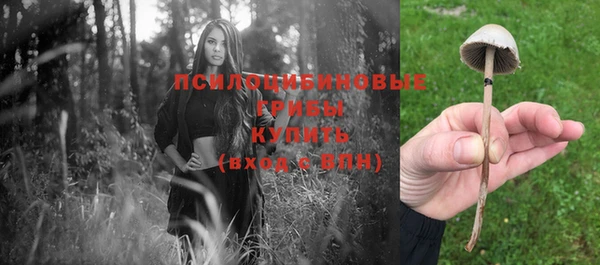 твердый Богданович