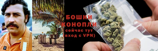 твердый Богданович