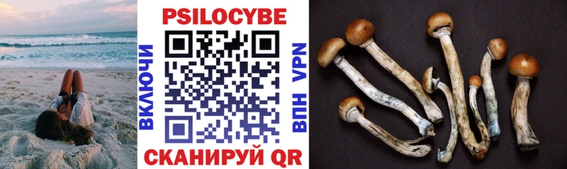 Галлюциногенные грибы Cubensis  Купить  Верхний Уфалей 
